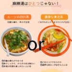 四川系サラサラ麻辣湯と東北系こってり麻辣湯の特徴まとめ比較表